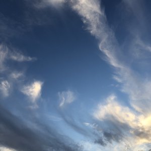 乱人伦中文无码视频在线
