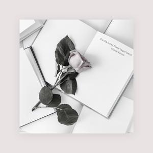 乱人伦中文无码视频在线
