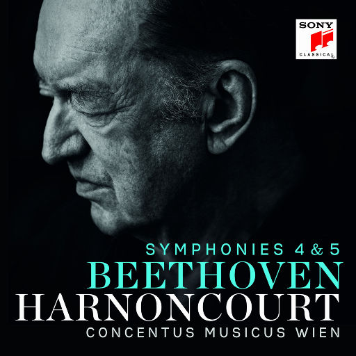 乱人伦中文无码视频在线
